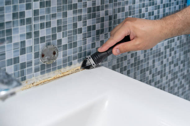 Best Commercial Mold Removal  in Glasco, NY