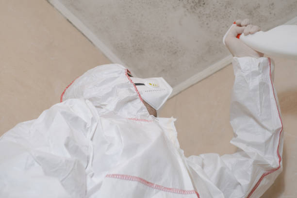 Best Residential Mold Removal  in Glasco, NY