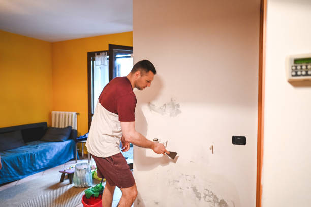 Home Mold Removal in Glasco, NY